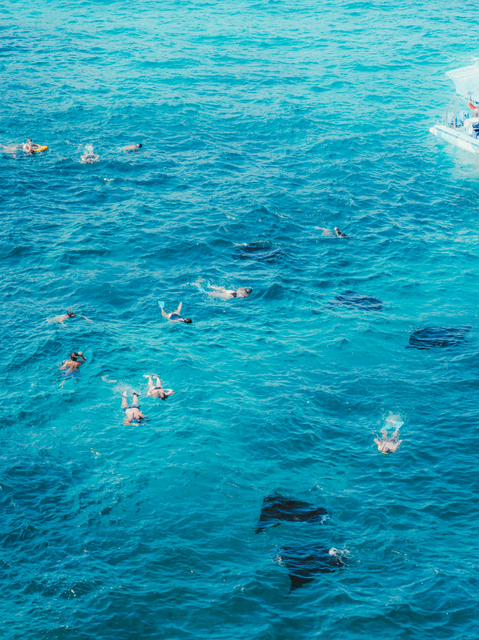 Manta Bay, Nusa Penida